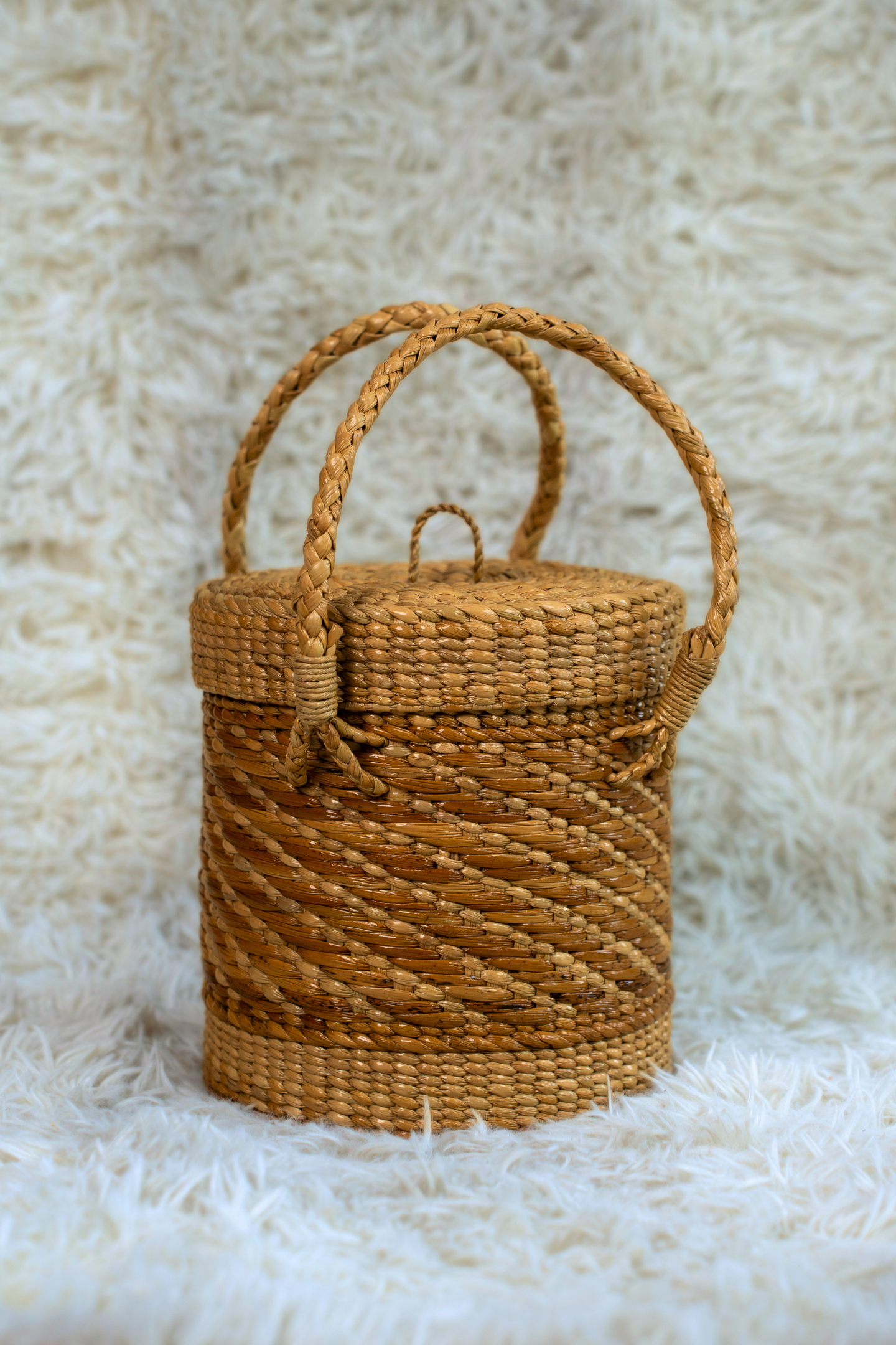 Kauna Storage Basket with Lid and Dual Handles