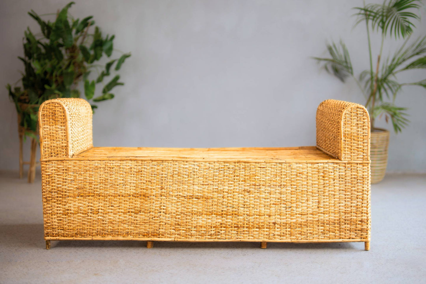 Coastal Bench